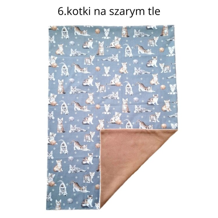 6.kotki na szarym tle.jpg